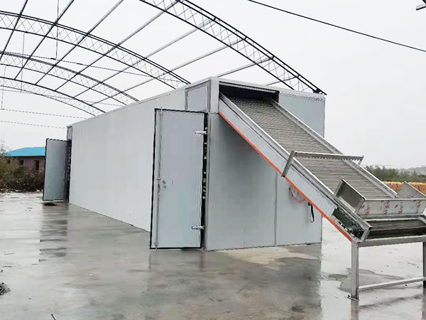 網帶式中藥類烘干